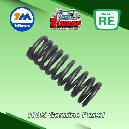 REAR SUSPENSION SPRING | Part #: 24170508
