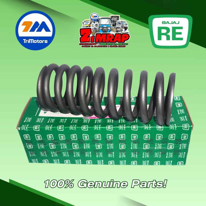 REAR SUSPENSION SPRING | Part #: 24170508