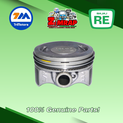 PISTON ASSEMBLY | Part #: AA101865